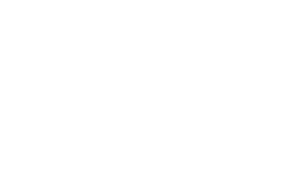 Biig logo